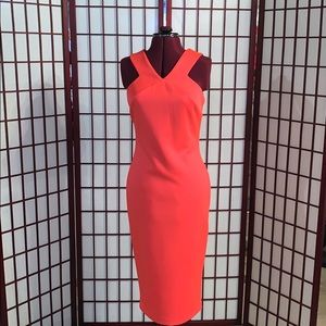 Hot Pink Ted Baker Dress
